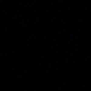 Meet your Posher, Iveth